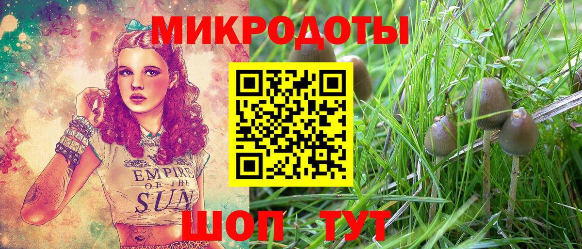 где купить наркоту  Галлюциногенные грибы мицелий  Куйбышев  Вход с VPN  Галлюциногенные грибы мицелий 